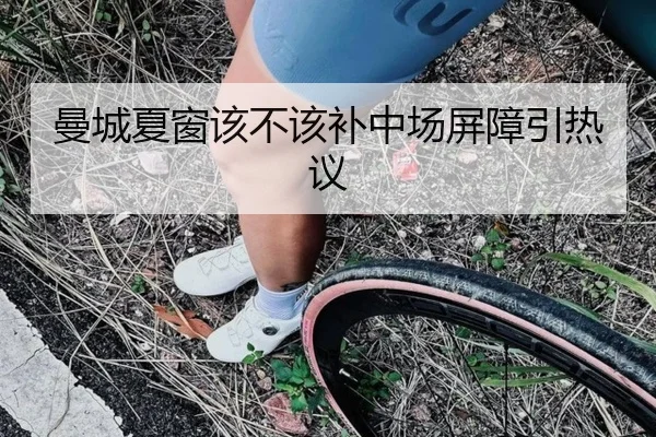 曼城夏窗该不该补中场屏障引热议